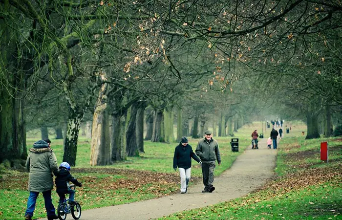 Cassiobury Park